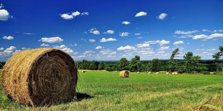 Understanding Straw Pellet Mill